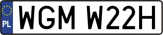 WGMW22H
