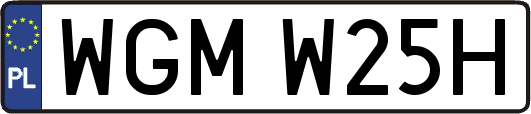 WGMW25H