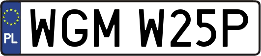 WGMW25P