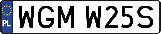 WGMW25S