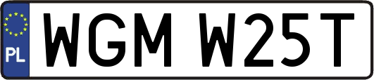 WGMW25T