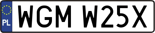 WGMW25X