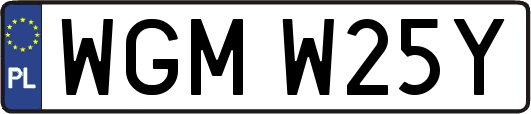 WGMW25Y
