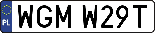 WGMW29T