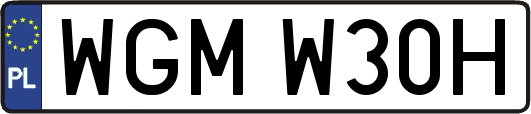 WGMW30H