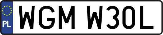 WGMW30L