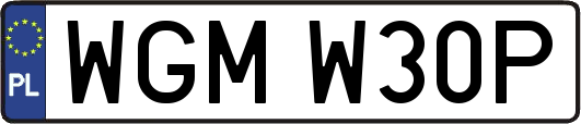 WGMW30P