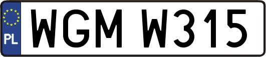 WGMW315