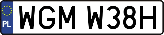 WGMW38H