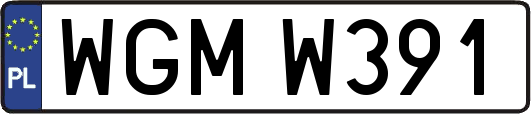 WGMW391