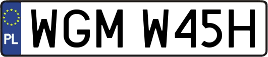 WGMW45H
