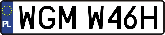 WGMW46H