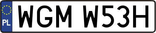 WGMW53H