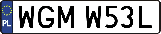 WGMW53L
