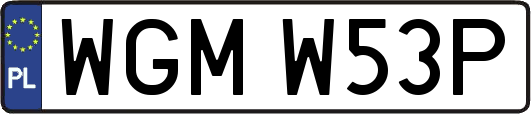 WGMW53P