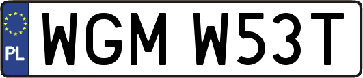 WGMW53T