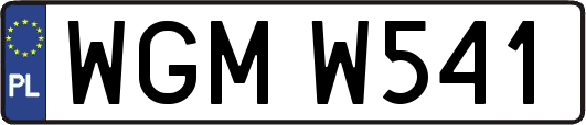 WGMW541