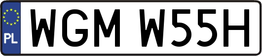 WGMW55H
