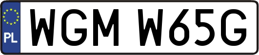 WGMW65G