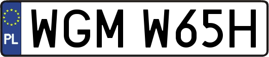 WGMW65H