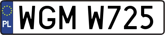 WGMW725