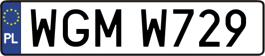 WGMW729