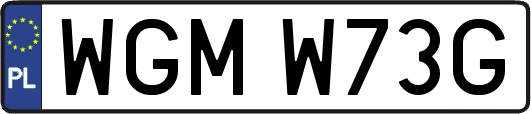 WGMW73G