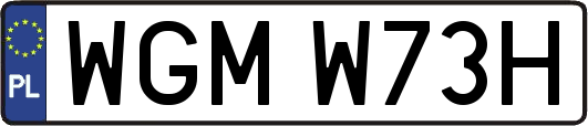 WGMW73H
