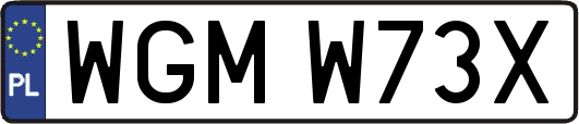 WGMW73X