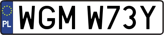 WGMW73Y