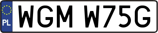 WGMW75G