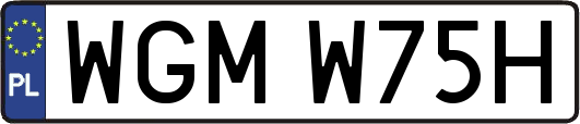 WGMW75H