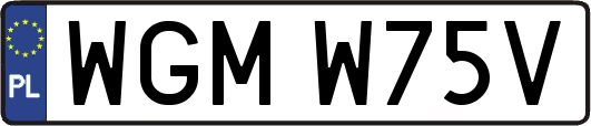 WGMW75V