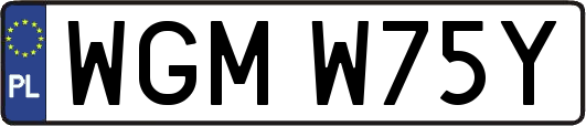 WGMW75Y