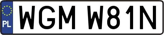 WGMW81N