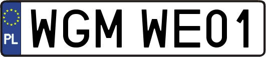 WGMWE01
