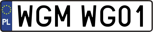 WGMWG01