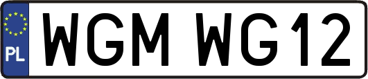 WGMWG12