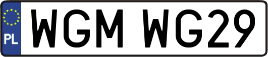 WGMWG29