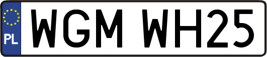 WGMWH25