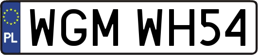 WGMWH54
