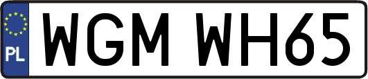 WGMWH65