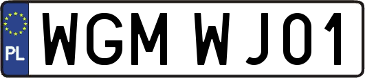 WGMWJ01