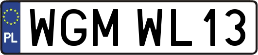 WGMWL13