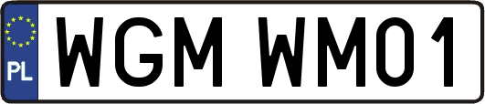 WGMWM01