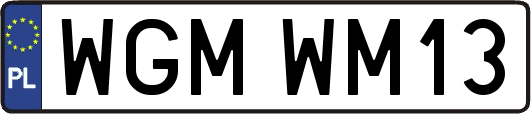 WGMWM13