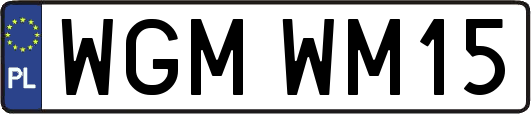 WGMWM15