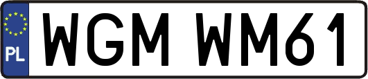 WGMWM61