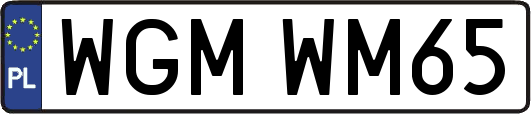 WGMWM65