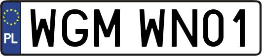 WGMWN01